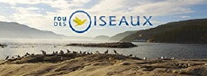 Fou des oiseaux (2015) - Stream Online