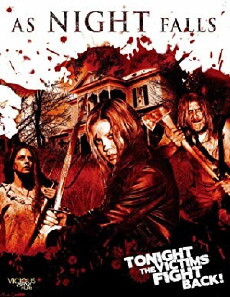 As Night Falls (2010) - Stream Online