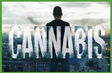 Cannabis (2016) - Stream Online