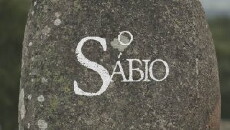O Sábio (2017) - Stream Online