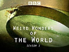 Weird Wonders of the World (2015) - Stream Online