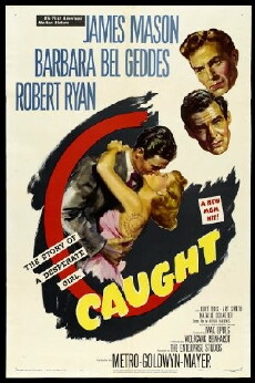 Wild Calendar (1949) - Stream Online