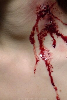 Blood + Roses (2010) - Stream Online