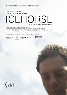 IJspaard (2014) - Stream Online