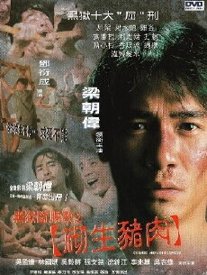 Chinese Midnight Express (1997) - Stream Online