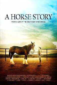 A Horse Story (2016) - Stream Online