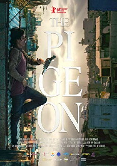 The Pigeon (2018) - Stream Online