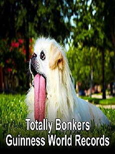 Totally Bonkers Guinness World Records (2012) - Stream Online