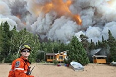 Playing with Fire (2014) - Stream Online