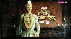 Sher-E-Punjab: Maharaja Ranjit Singh (2017) - Stream Online