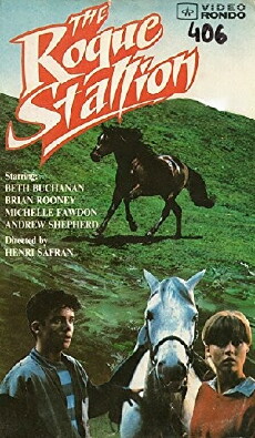 The Rogue Stallion (1990) - Stream Online
