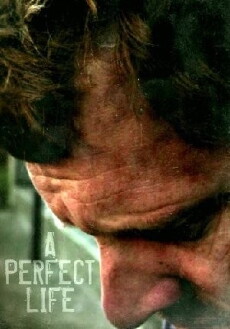 A Perfect Life (2011) - Stream Online