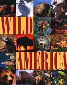 Wild America (1982) - Stream Online