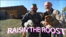Raisin' the Roost (2017) - Stream Online