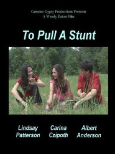 To Pull a Stunt (2013) - Stream Online