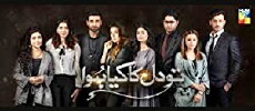 Tau Dil ka kiya hua (2017) - Stream Online