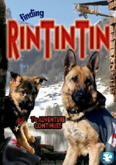 Rin Tin Tin (2007) - Stream Online