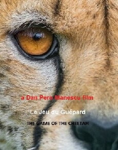 The Game of the Cheetah (2020) - Stream Online