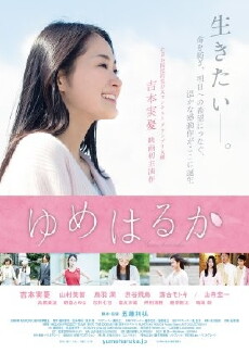 Yume haruka (2014) - Stream Online