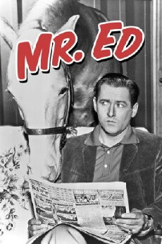 Mister Ed (1958) - Stream Online
