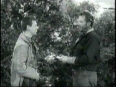 The Desperado (1954) - Stream Online