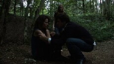 Till Sunset (2011) - Stream Online