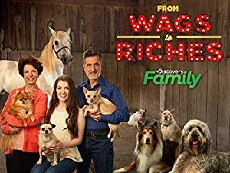 From Wags to Riches with Bill Berloni (2015) - Stream Online