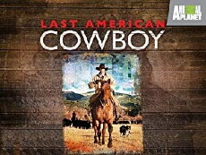 Last American Cowboy (2010) - Stream Online