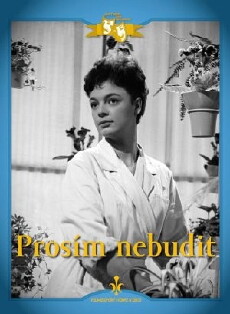 Bitte nicht wecken! (1963) - Stream Online