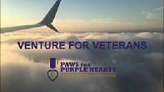 Paws for Purple Hearts Presents Venture for Veterans (2017) - Stream Online