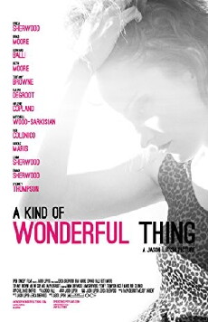 A Kind of Wonderful Thing (2012) - Stream Online