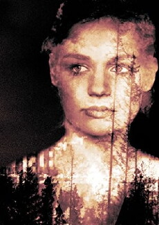 Detour (2017) - Stream Online