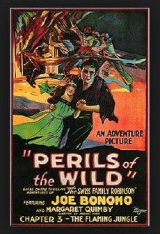 Perils of the Wild (1925) - Stream Online