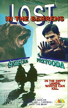 Allein in der Wildnis (1990) - Stream Online