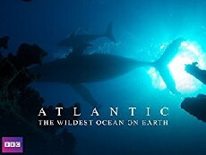 Atlantic: The Wildest Ocean on Earth (2015) - Stream Online