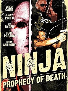 Ninja: Prophecy of Death (2011) - Stream Online