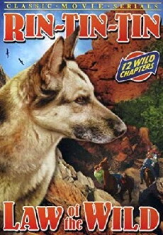 Law of the Wild (1934) - Stream Online