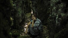 Filmus (2017) - Stream Online