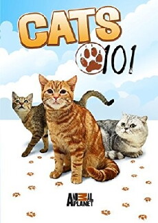 Cats 101 (2008) - Stream Online