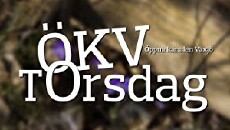 Ökv Torsdag (2017) - Stream Online