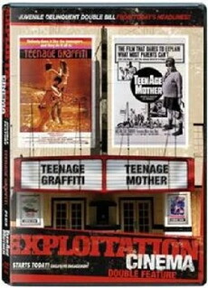 Teenage Graffiti (1977) - Stream Online
