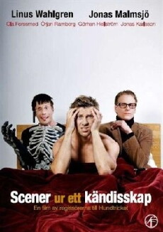 Scener ur ett kändisskap (2009) - Stream Online