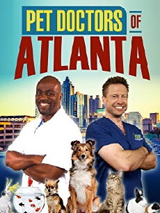 Pet Doctors of Atlanta (2014) - Stream Online
