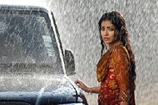Bull BulBul Bandook (2013) - Stream Online