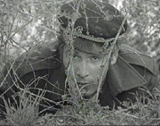 Der Hinterhalt (1969) - Stream Online