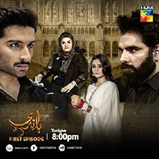 Baandi (2018) - Stream Online