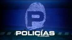 Policías en acción (2013) - Stream Online