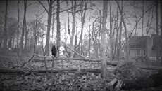 Forgotten Misery Rituals (2017) - Stream Online