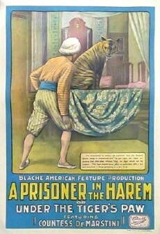 A Prisoner in the Harem (1913) - Stream Online