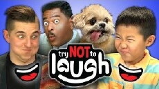 Try Not to Smile or Laugh (2015) - Stream Online